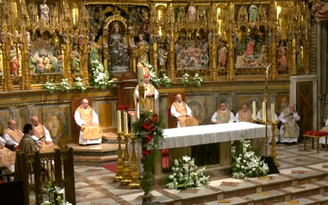 Homilía de D. Francisco Cerro | Domingo de Resurrección 2024