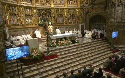 Homilía D. Francisco Cerro Chaves | Domingo de Resurrección 2026